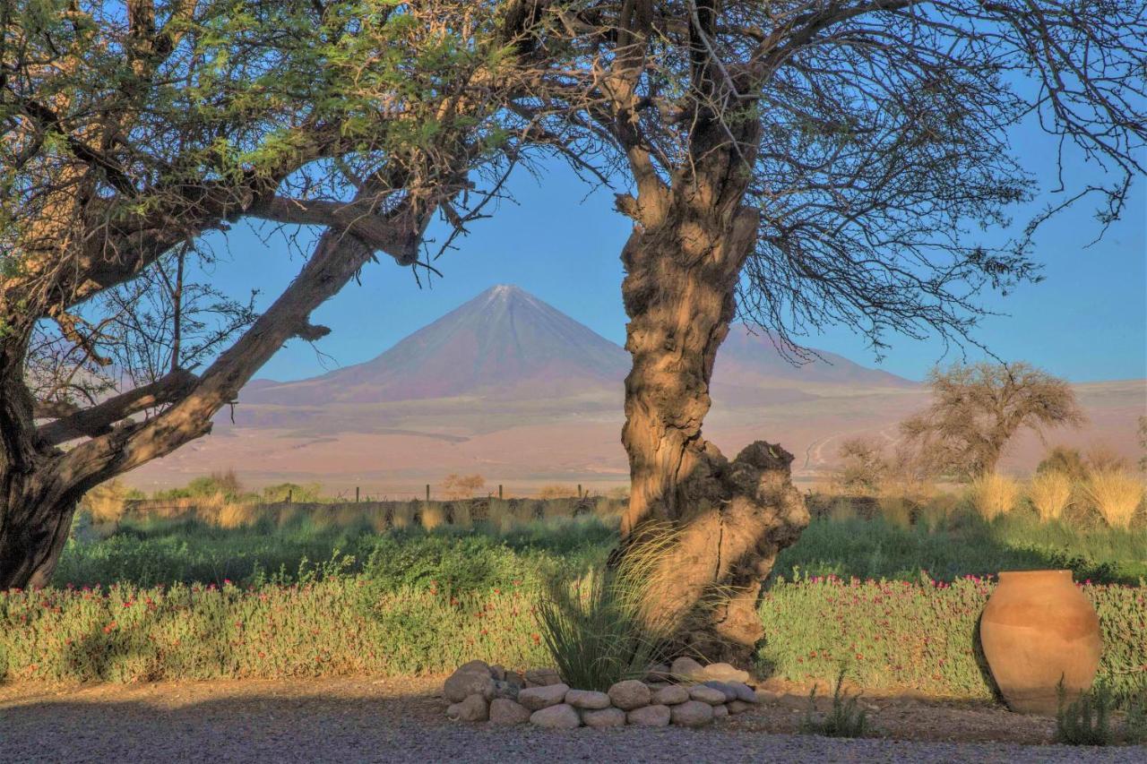 Casita La Brea Villa San Pedro de Atacama Luaran gambar